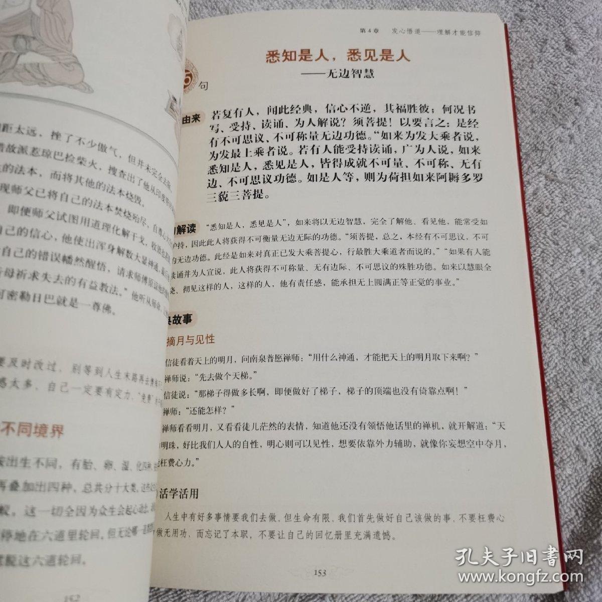 图解100句读懂金刚经轻松通晓最深奥的佛法智慧[pdf]