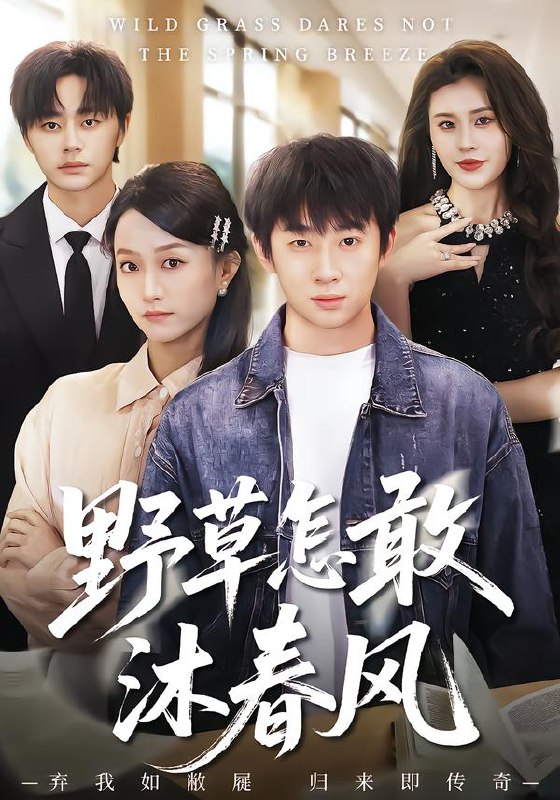 野草怎敢沐春风 (61集) 王楚&周瑾阳 | 短剧