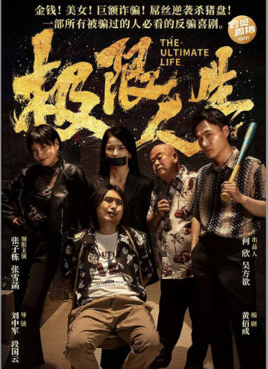 国剧极限人生（2026）[夸克网盘]